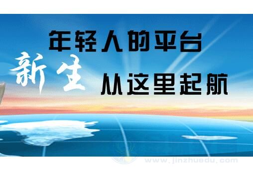 陶瓷品类淘宝创业，小林选金蛛淘宝天猫运营获成功