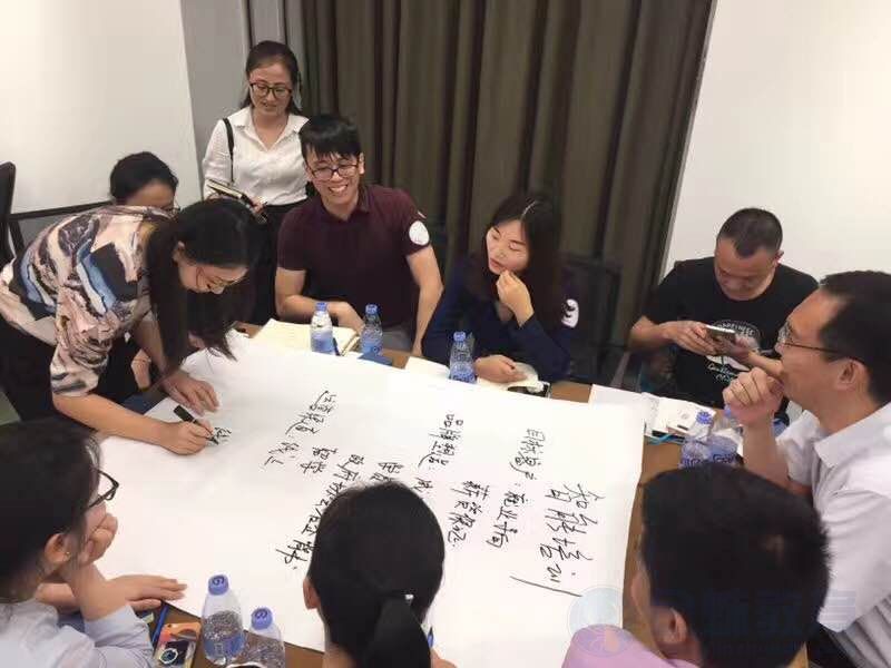 金蛛教育杨鑫老师
